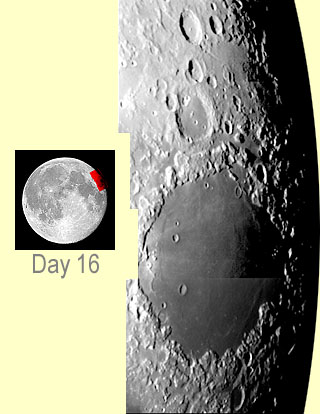 MOON - Day 16
